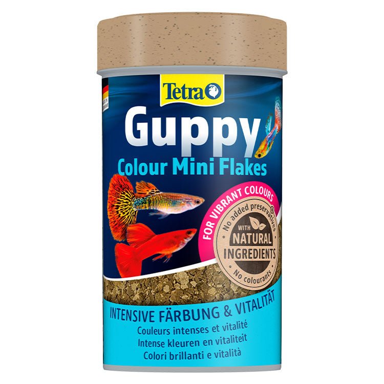 Tetra Guppy Colour Mini Flakes Lepistes Pul Balýk Yemi 100 Ml - YemSende.com