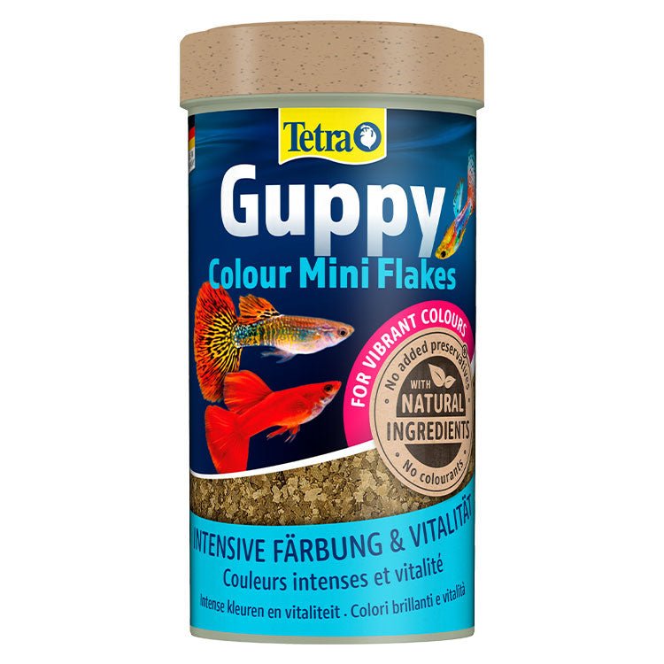 Tetra Guppy Colour Mini Flakes Lepistes Pul Balýk Yemi 250 Ml - YemSende.com