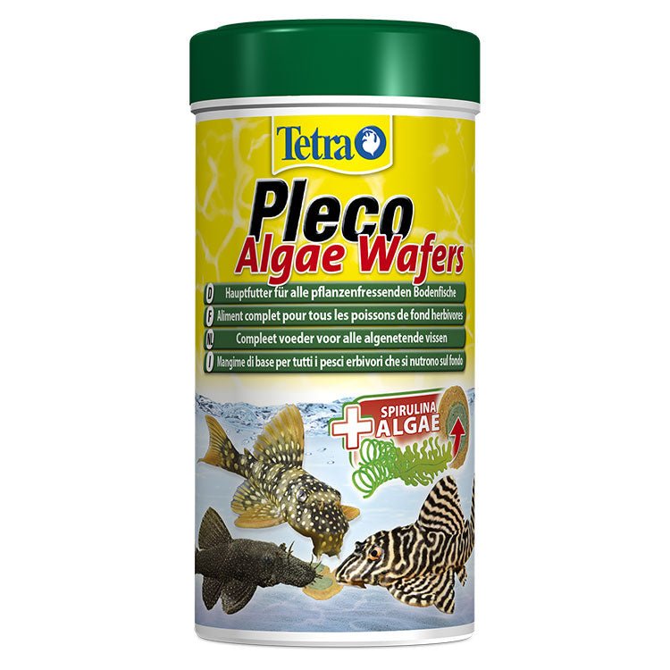Tetra Pleco Algae Wafers Bitkisel Dip Balýk Yemi 3.6 Lt - YemSende.com