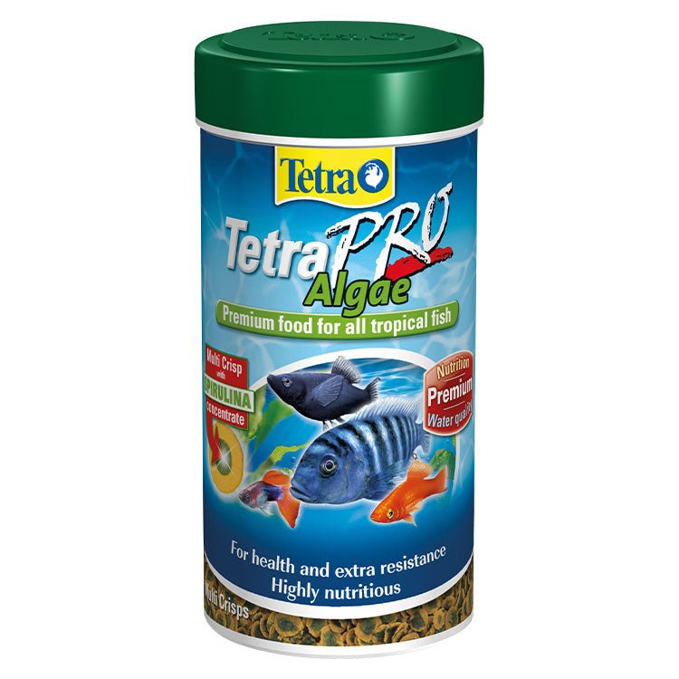 Tetra Pro Algae Crisps Otçul Süs Balýk Yemi 250 Ml - YemSende.com